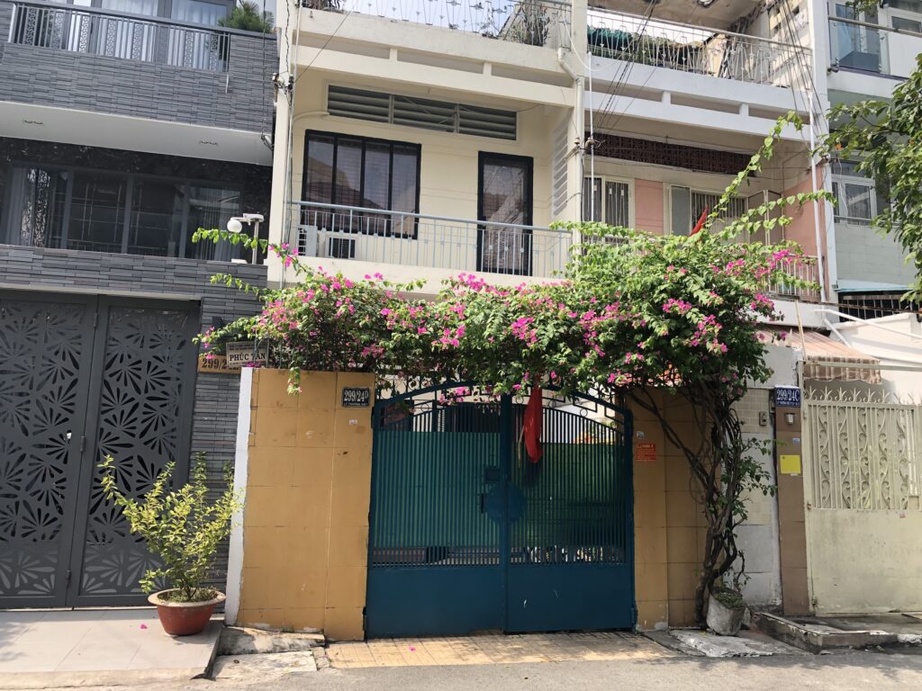 Cây Hoa Giấy Leo Giàn Cổng ( Hoa giấy xác pháo - Đỏ, trắng, vàng, cam, hồng) 10 Cây Hoa Giấy Leo Giàn Cổng ( Hoa giấy xác pháo - Đỏ, trắng, vàng, cam, hồng)