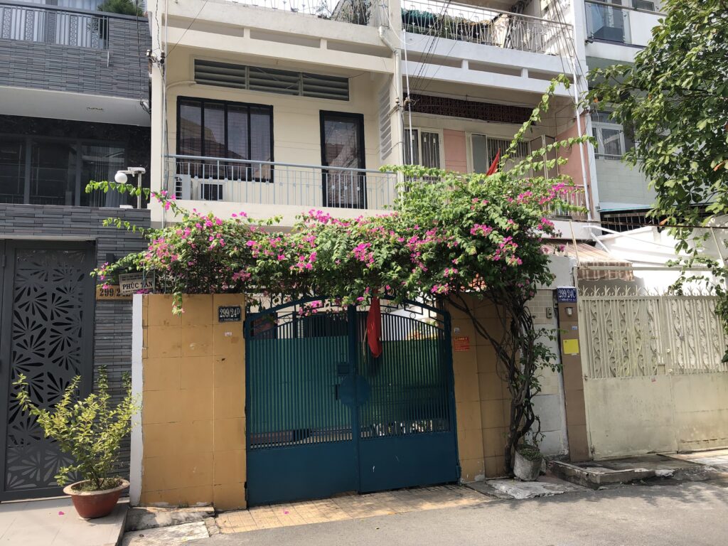 Cây Hoa Giấy Leo Giàn Cổng ( Hoa giấy xác pháo - Đỏ, trắng, vàng, cam, hồng) 13 Cây Hoa Giấy Leo Giàn Cổng ( Hoa giấy xác pháo - Đỏ, trắng, vàng, cam, hồng)